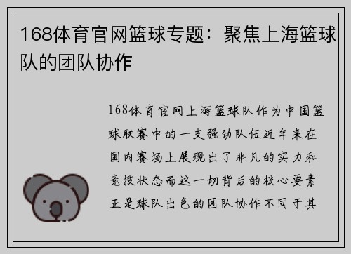 168体育官网篮球专题：聚焦上海篮球队的团队协作